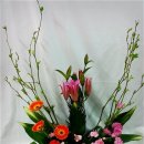 대부영광교회 이미지