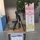 장안19 이미지