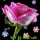 남강인력개발 이미지