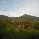 곡성-231 Daum카페