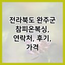 참피온복싱 | 전라북도 완주군 참피온복싱, 연락처, 후기, 가격