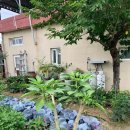 마르자하우스 이미지