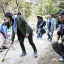 푸른산 디자인 디지털타임스