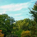 잔디마당 자동차 야영장 이미지