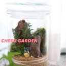 단국대학교사범대학부속고등학교 이미지