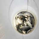 통삼낚시터 이미지