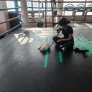 TEAM H BOXING 이미지