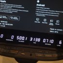 2박 3일 강원도 여행 첫째날 : 하늬라벤더팜, 백도수산가리비직매장, 스위밍터틀, 아야진해변, 체스터톤스