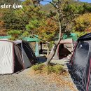 새들펜션캠핑장 이미지