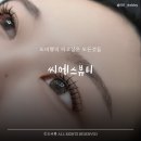 씨에스뷰티 | 장안동속눈썹 맛집, 씨에스뷰티 후기