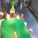 길동물병원 이미지