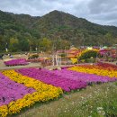 용대관광지 | 강원도 인제 용대관광지 2024 가을꽃 축제 구경, 먹거리 후기