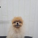 무브멍트 이미지