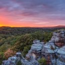 PARK BEAN(파크빈) 이미지