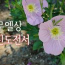 24. 9. 3(화) 사무엘상 27장, 고린도전서 8장 이미지