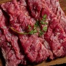 송도갈매기 이미지