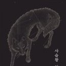 선 스시 이미지