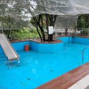 캠프예그리나 이미지