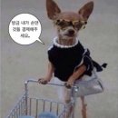 파이앤버터