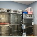 대형동물병원 | 동구 인근 대형 동물병원 방문 후기