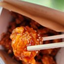 동해-단속-07 이미지