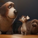 프린스 코기 이미지