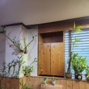 사랑의뜰안 이미지