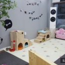 도쿠애견미용학원 - 성동구 무학로2길 50 | 도쿠애견미용학원