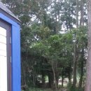 게스트 하우스 소나무 이미지