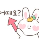 1983 당구레슨 스튜디오 이미지