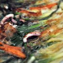 양동식당 - 경주시 | 양동식당