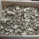 대신약업사 이미지