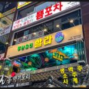 푸른술집 할라 이미지