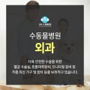 도그런살롱 이미지