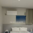 서부(우) | [후기/카페] 춘천 혼자 북투어📚&amp;카페투어☕️[자유빵집/바라타리아/오이트/적파우/라이키]