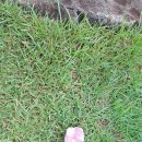 노동면 노동경로당 이미지