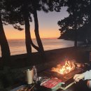 나로힐링펜션 | 고흥여행) 나로힐링캠핑펜션 2번 사이트 솔직후기