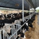 선우목장 이미지