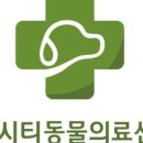 동탄시티동물의료센터 이미지
