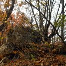 정선목장 이미지