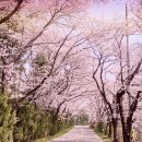 익산컨트리클럽 이미지