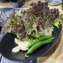 먹골집 | 부석사 근처 영주맛집 먹골집 인삼소불고기 후기