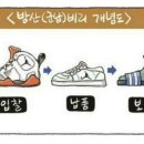 306011 이미지