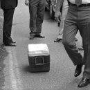 Body picnic 이미지