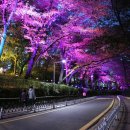 2025 자유공원&동인천 고고축제 이미지