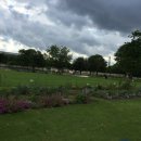 메디시스 이미지