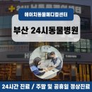 에이치동물메디컬센터 이미지