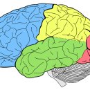 신경한의원 이미지