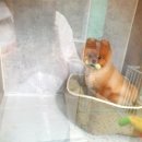 유폴 평택지제역점 이미지