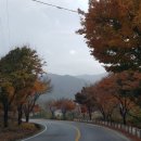 A1124 네이버블로그